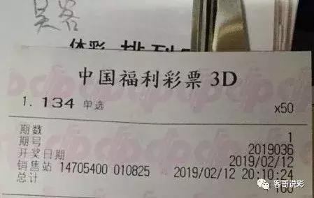 福彩3D试机号2019年走势图，深度分析与未来展望